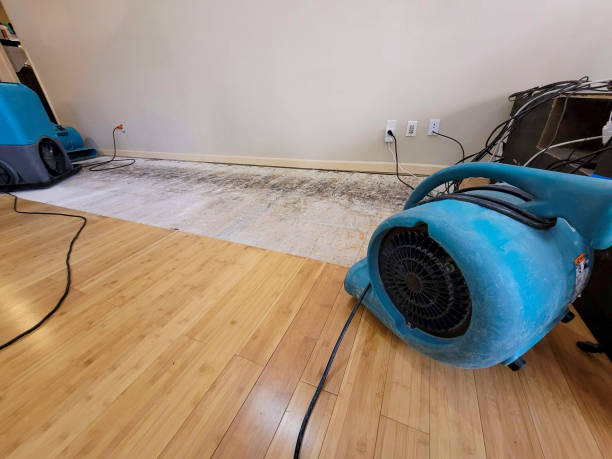 Professional Basement Flood Cleanup technician working in Rowlett, TX